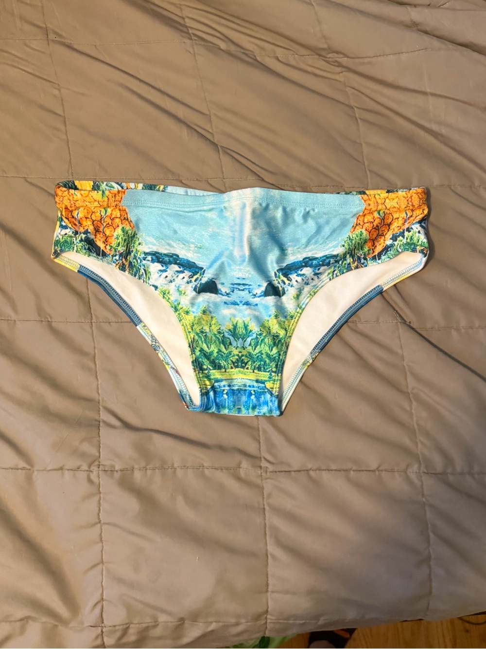 Aussiebum Swim Brief